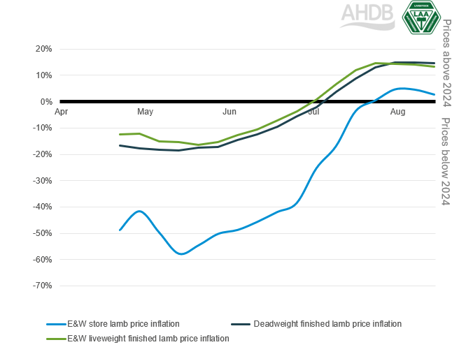 Graph showing live and deadweight lamb price inflation